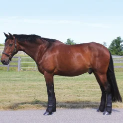 Shedrow Shipping Boots