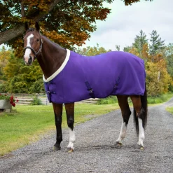 Shedrow Soft Shell Cooler