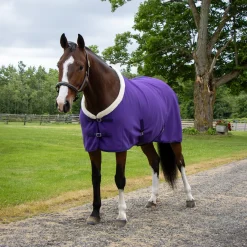 Shedrow Soft Shell Cooler
