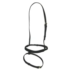 Shedrow Thoroughbred Race Flash Noseband