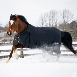 Shedrow Turnout Blanket 300 g