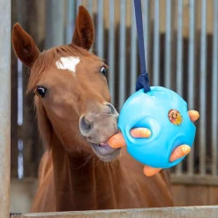 Shires Equestrian Shires Carrot Ball