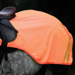 Shires Equestrian Shires Equi-Flector Reflective Exercise Sheet