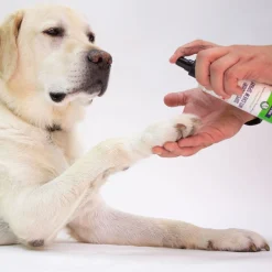 Skout's Honor Super Sour Anti Chew Spray 236 mL