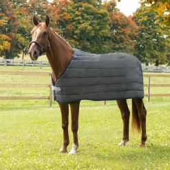 Summit Nova Liner 150 g