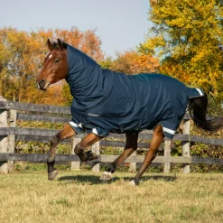 Summit Nova Turnout Blanket 100 g W/ Hood