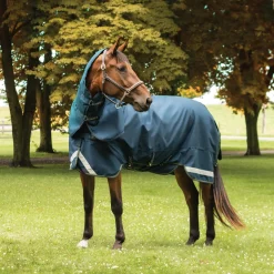 Summit Nova Turnout Blanket 100 g W/ Hood