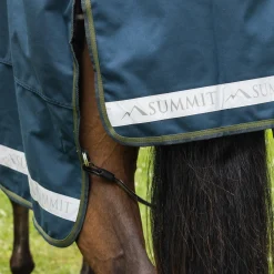 Summit Nova Turnout Blanket 100 g W/ Hood
