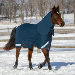 Summit Nova Turnout Blanket 400 g W/ 150 g Hood