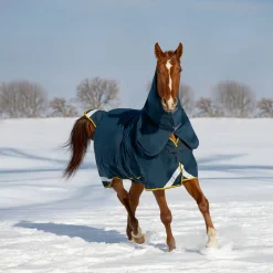 Summit Nova Turnout Blanket 250 g W/ 150 g Hood