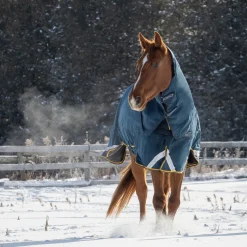 Summit Nova Turnout Blanket 250 g W/ 150 g Hood