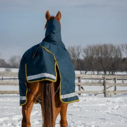 Summit Nova Turnout Blanket 250 g W/ 150 g Hood