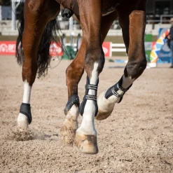 Summit Open Front Tendon Boots