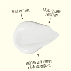 Sun Bum SPF 50 Face Lotion 88 mL