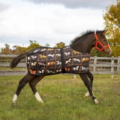 Supra Foal Blanket 300 g