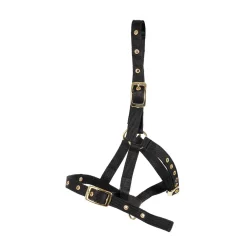 Supra Foal Halter