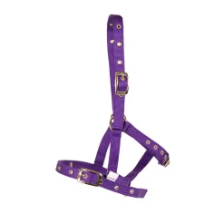 Supra Foal Halter