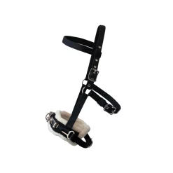 Supra Lunge Cavesson