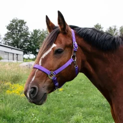 Supra Neoprene Padded Breakaway Halter