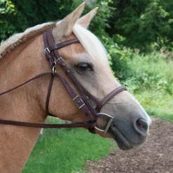 Supra Nylon Anti Grazing Reins