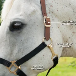 Supra Nylon Halter W/ Leather Crown