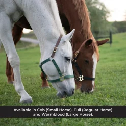 Supra Nylon Halter W/ Leather Crown