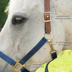 Supra Nylon Halter W/ Leather Crown