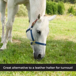 Supra Nylon Halter W/ Leather Crown