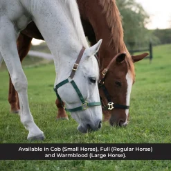 Supra Nylon Halter W/ Leather Crown