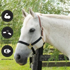 Supra Nylon Halter W/ Leather Crown