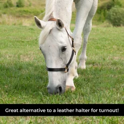 Supra Nylon Halter W/ Leather Crown