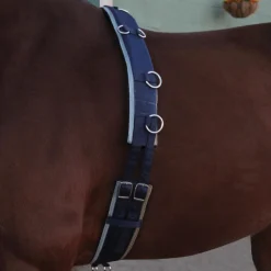 Supra Smart Lunge Set