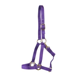 Supra Stable Halter