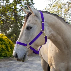 Supra Stable Halter
