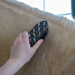 Supra Style Collection Dandy Brush