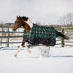 Supra Turnout Blanket 300 g