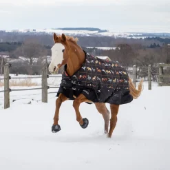 Supra Turnout Blanket 300 g