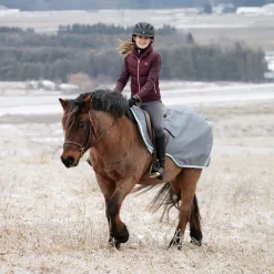 Swift Pony Exercise Sheet