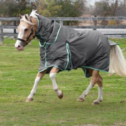 Swift Pony Rainsheet 0 g