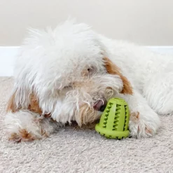 Tall Tails Natural Rubber Acorn Toy