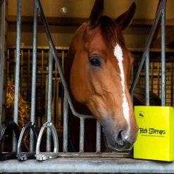 Tech Stirrups Tech Venice Plus EVO Stirrups