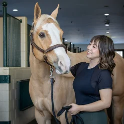 Women TemTeq Energize Short Sleeve Top
