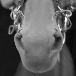 Protecto The Breathe E-Z