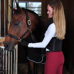 Thermal Therapy Back Brace