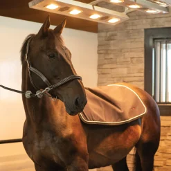 Thermal Therapy Back Warmer