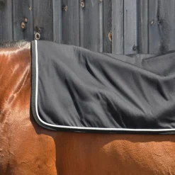 Thermal Therapy Back Warmer