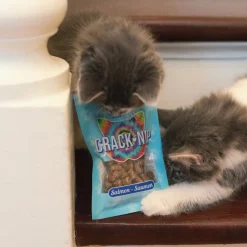 This & That Canine Co. This & That Crack Nip Salmon Cat Treats 43 g