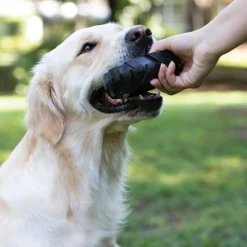 Hagen Pet Products Tonka Seismic Tread Tire 12 cm