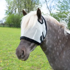Tough1 Miniature Fly Mask W/ No Ears