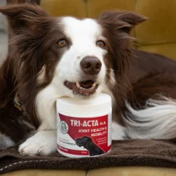 Integricare Tri-Acta Canine H.A. Maximum Strength Pet Supplement 300 g